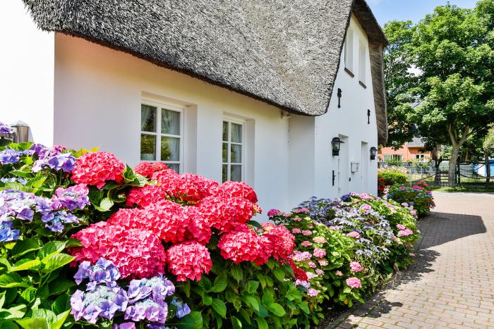 Appartement-Vermietung Bals - Friesenhaus Min Eilun - Hedigenwai 8 | Hausteil 1 | Sylt | Westerland, Hausteil unter Reet für 4 Personen mit 2 Schlafzimmer, 1 Badezimmer, Gäste WC, ca. 90 m2