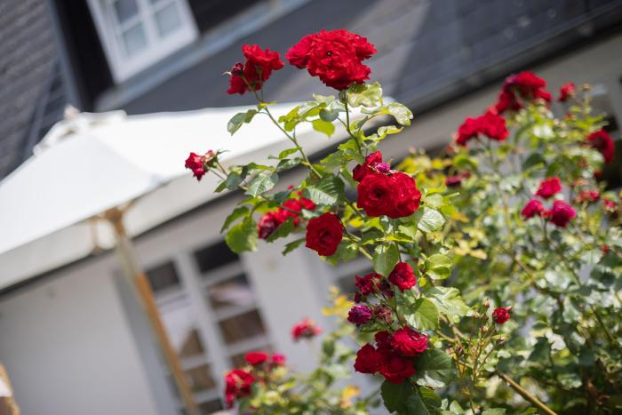 Appartement-Vermietung Bals - Wohnpark Friesenhain - Kollundweg 27a | Sylt | Westerland, 2-Zimmer-EG-Wohnung für 2 Personen mit 1 Schlafzimmer, 1 Badezimmer, ca. 60 m2