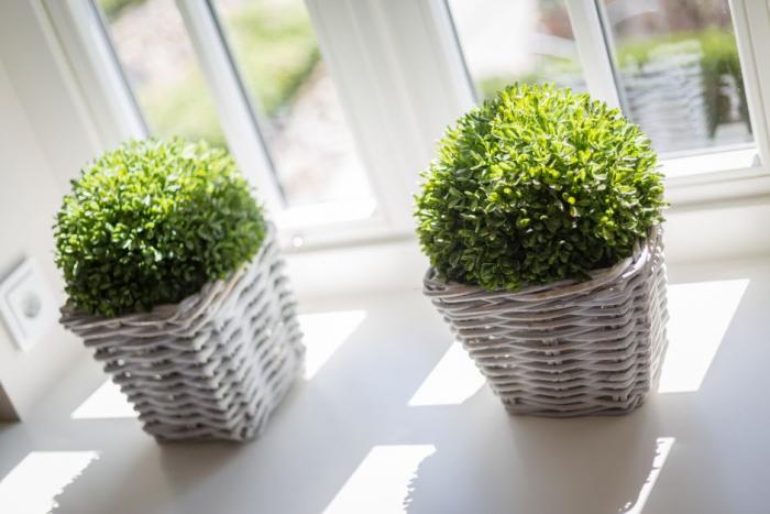 Reetdachhaus - Sylt, Hochkamp 6b | Haus Habel