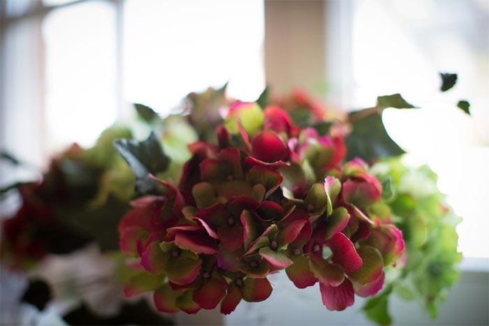 3-Zimmer-EG-Wohnung | Maisonette - Sylt, Steinmannstraße 49 | 5 Rainbow