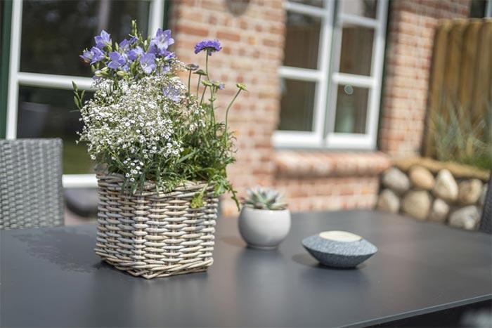 Doppelhaushälfte - Sylt, Amselweg 6a Doppelhaushälfte - Sylt, Amselweg 6a