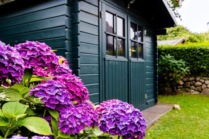 Haus - Sylt, Zwischen den Hedigen 44 Haus - Sylt, Zwischen den Hedigen 44