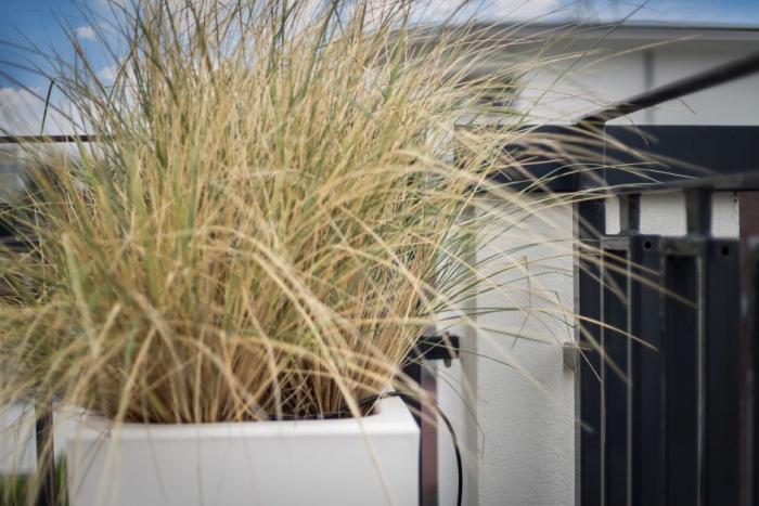 3-Zimmer-Penthouse - Sylt, Norderstraße 5a | 7 Üp Taak Tau 3-Zimmer-Penthouse - Sylt, Norderstraße 5a | 7 Üp Taak Tau