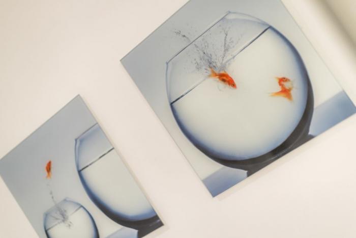 3-Zimmer-EG-Wohnung | Maisonette - Sylt, Bastianstraße 16 | Wohnung 4