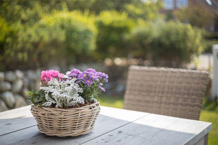 3-Zimmer-EG-Wohnung | Maisonette - Sylt, Heideweg 17b | 2 Margret