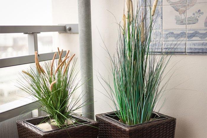 2-Zimmer-OG-Wohnung - Sylt, Paulstraße 2 | Wohnung 29