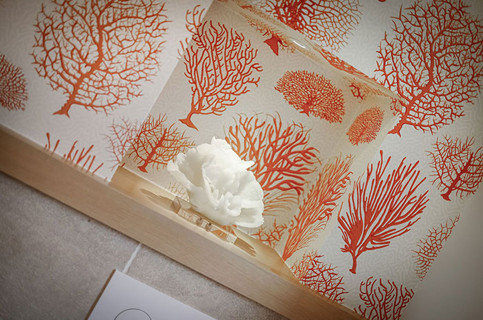 Reetdachhaus - Sylt, Horsatal 15b Reetdachhaus - Sylt, Horsatal 15b