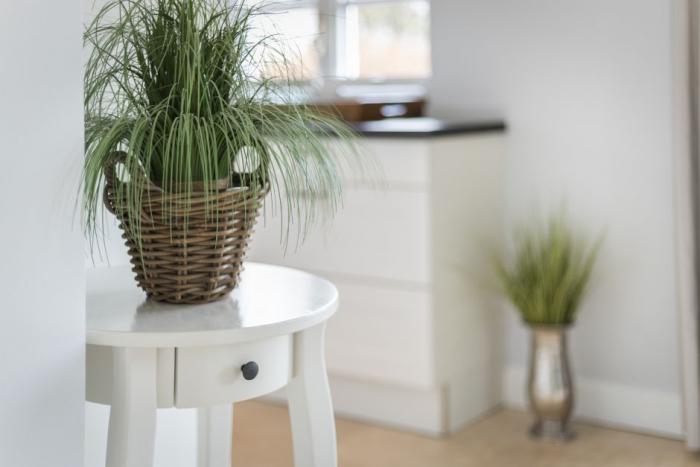 Appartement-Vermietung Bals - Sylter Quartier - Hoyerweg 10c | Haus 6.1 Söl Hüs | Sylt | Westerland, Hausteil für 6 Personen mit 4 Schlafzimmer, 3 Badezimmer, Gäste WC, ca. 137 m2, Grundstück ca. 320 m2