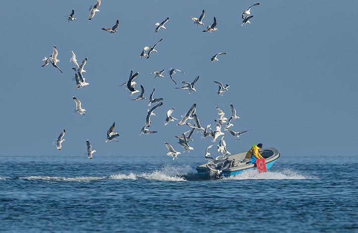 Ein Angler auf Sylt