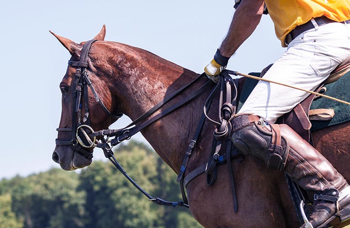 Ein Polospieler beim German Polo Masters auf Sylt