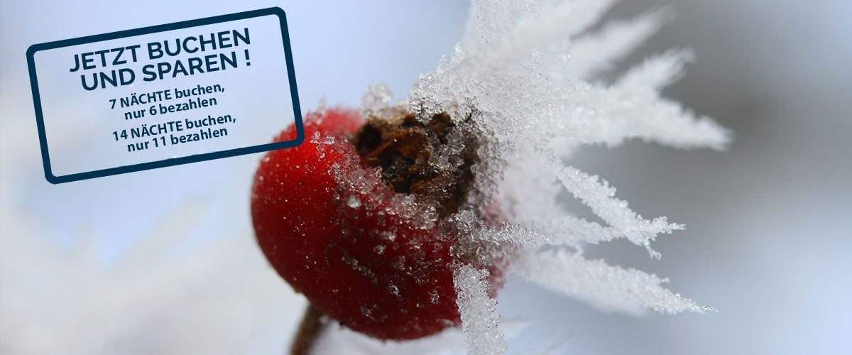 Bals Sylt Angebot Bals Sylt Angebot