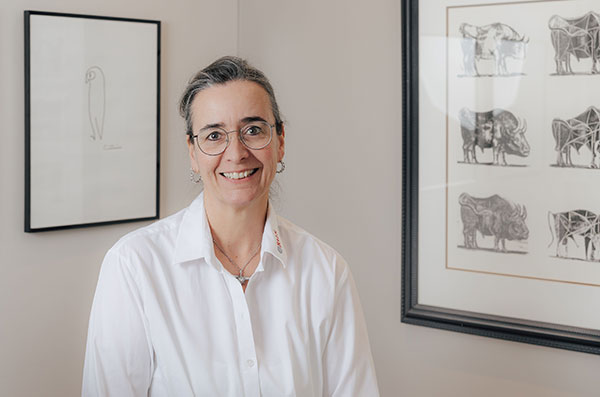 Imken Jester Imken Jester